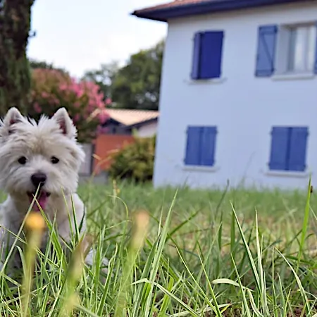 Dans Une Maison D'hotes A 16kms Du Pays Basque Et Des Plages Apartmán Biaudos
